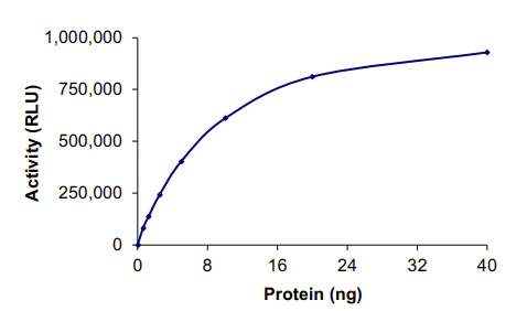 Functional Studies - Recombinant human DYRK3 protein (AB135222)