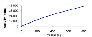 Functional Studies - Recombinant human Dystrophia myotonica protein kinase / DMPK (AB85755)