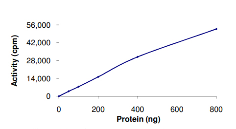 Functional Studies - Recombinant human Dystrophia myotonica protein kinase / DMPK (GST tag N-Terminus) (AB85755)