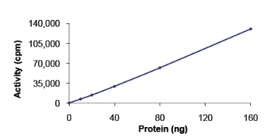 Functional Studies - Recombinant human EEF2K protein (AB84570), expandable thumbnail