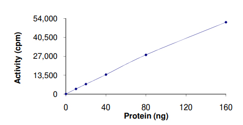 Functional Studies - Recombinant human EEF2K protein (AB84570), expandable thumbnail