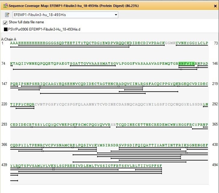 Mass Spectrometry - Recombinant Human EFEMP1/Fibulin-3 protein (His tag) (AB318255), expandable thumbnail