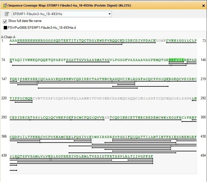 Mass Spectrometry - Recombinant Human EFEMP1/Fibulin-3 protein (His tag) (AB318255)
