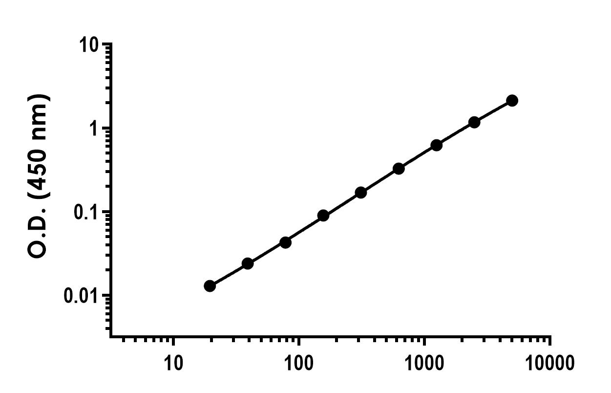 Sandwich ELISA - Recombinant Human EFEMP1 Protein Standard (His tag) (AB316445)
