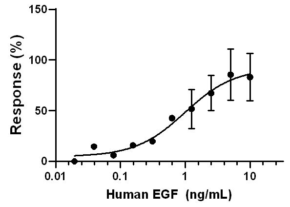 Functional Studies - Recombinant human EGF protein (Active) (AB259398), expandable thumbnail