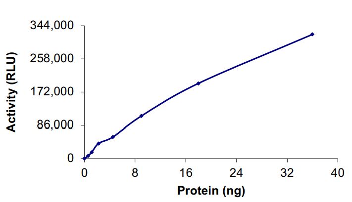 Functional Studies - Recombinant human EGFR (A763_Y764insFHEA) protein (Active) (AB268454), expandable thumbnail