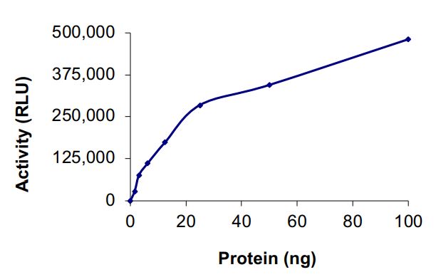 Recombinant human EGFR (A763_Y764insFQEA) protein (Active)