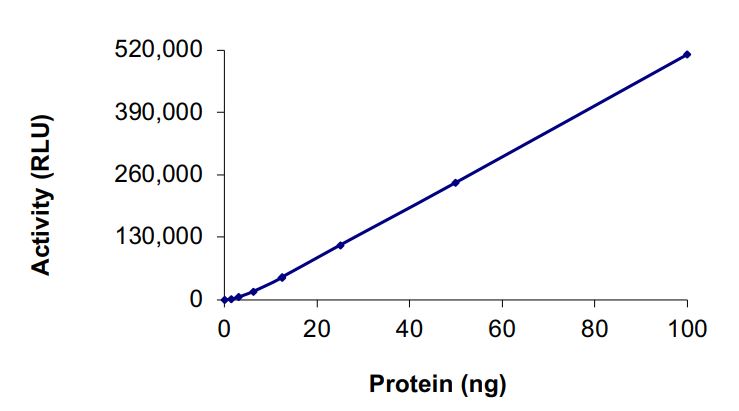 Recombinant human EGFR (A767-S768insTLA) protein (Active)