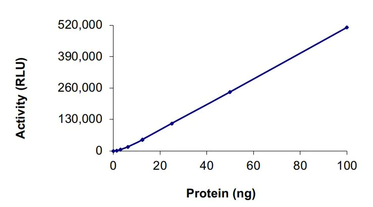 Functional Studies - Recombinant human EGFR (A767-S768insTLA) protein (Active) (AB268457)