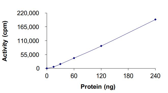 Functional Studies - Recombinant human EGFR del 746-750 (mutated C775S + T790M + L858R) protein (Active) (AB268462)