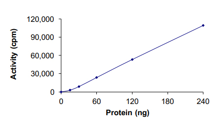 Functional Studies - Recombinant human EGFR del 746-750 (mutated C775S + T790M + L858R) protein (Active) (AB268462)