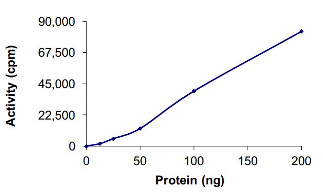Recombinant human EGFR (deleted E746) protein (Active)