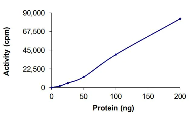 Functional Studies - Recombinant human EGFR (deleted E746) protein (Active) (AB268461)