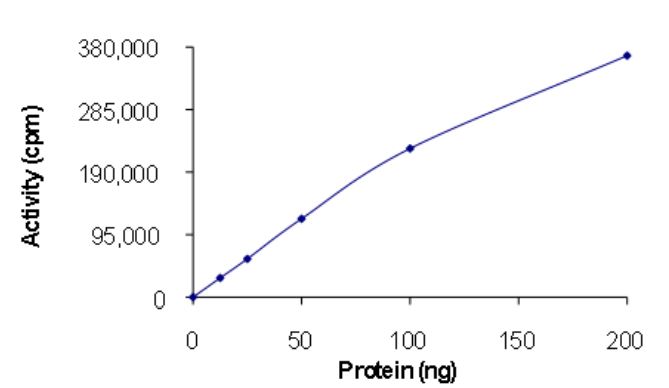 Functional Studies - Recombinant human EGFR deletion 746-750 (mutated T790M + C797S + L858R) protein (Active) (AB268465)