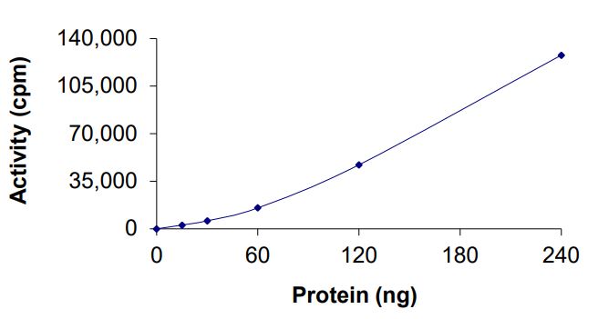 Functional Studies - Recombinant human EGFR deletion 746-750 (mutated T790M + C797S) protein (Active) (AB268466)