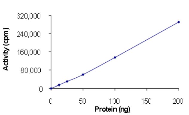 Functional Studies - Recombinant human EGFR deletion 746-750 (mutated T790M + L858R) protein (Active) (AB268467)