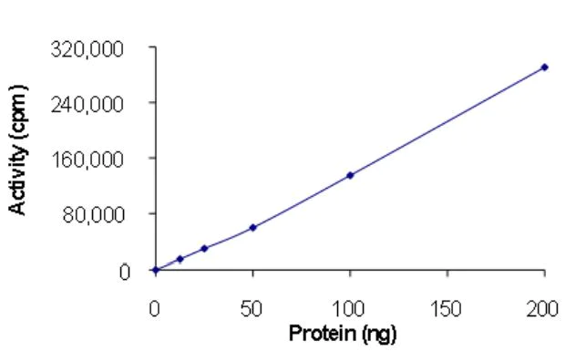 Functional Studies - Recombinant human EGFR deletion 746-750 (mutated T790M + L858R) protein (Active) (GST tag N-Term) (AB268467)