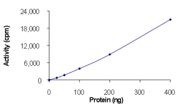 Functional Studies - Recombinant human EGFR deletion 746-750 (mutated T790M + L978I) protein (Active) (AB268468), expandable thumbnail