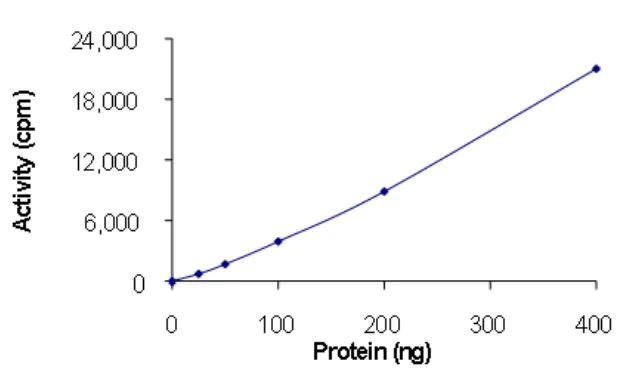Functional Studies - Recombinant human EGFR deletion 746-750 (mutated T790M + L978I) protein (Active) (AB268468)