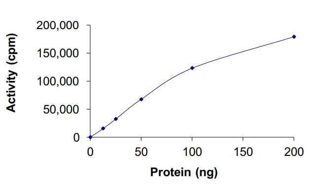 Flow Cytometry - Recombinant human EGFR deletion 747-750 (mutated C797S) protein (Active) (AB268464)