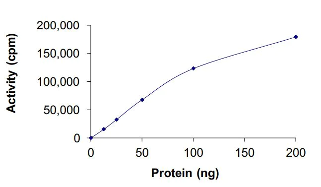Flow Cytometry - Recombinant human EGFR deletion 747-750 (mutated C797S) protein (Active) (GST tag N-Terminus) (AB268464)
