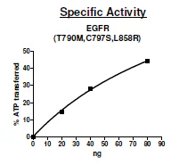 Functional Studies - Recombinant human EGFR (mut T790M + C797S + L858R) protein (Active) (GST N-Term + His tag C-Term) (AB271494)