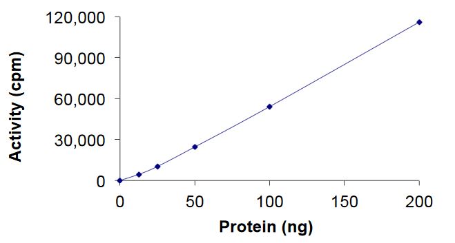 Recombinant human EGFR (mutated C797A) protein (Active)
