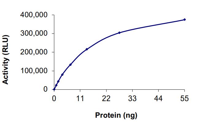Functional Studies - Recombinant human EGFR (mutated C797S + L858R) protein (Active) (AB268459)