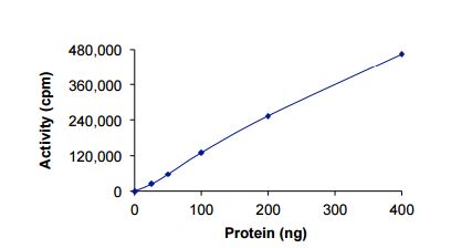 Functional Studies - Recombinant human EGFR (mutated C797S) protein (AB208478), expandable thumbnail