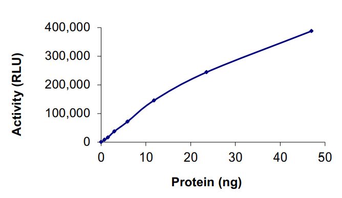 Functional Studies - Recombinant human EGFR (mutated C797S) protein (Active) (AB268460), expandable thumbnail