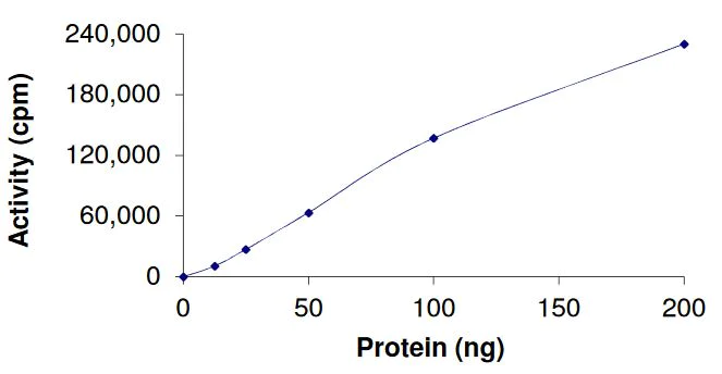 Functional Studies - Recombinant human EGFR (mutated D761Y) protein (Active) (AB268476)