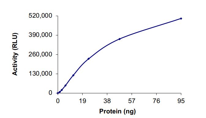 Recombinant human EGFR (mutated D770G + D770Y) protein (Active)
