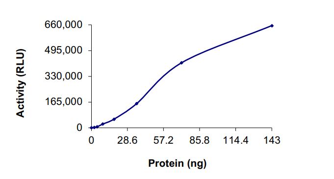 Recombinant human EGFR (mutated D770G + D770Y) protein (Active)