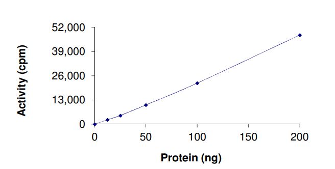 Recombinant human EGFR (mutated G719D) protein (Active)