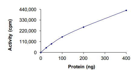 Recombinant human EGFR (mutated G719S) protein