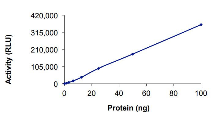 Recombinant human EGFR (mutated K716Q + L718Q) protein (Active)