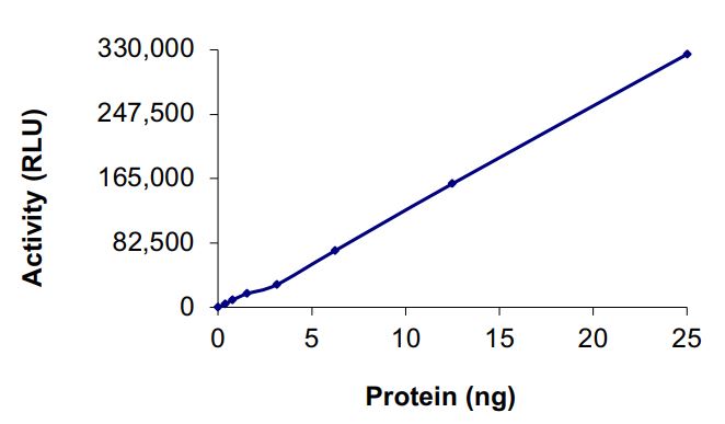 Recombinant human EGFR (mutated K728A) protein (Active)