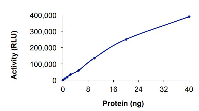 Functional Studies - Recombinant human EGFR (mutated K728A + T790M + C797S + L858R) protein (Active) (AB268492)