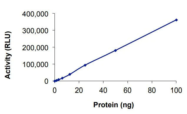 Functional Studies - Recombinant human EGFR (mutated L718Q) protein (Active) (AB268495)