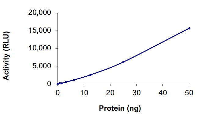 Recombinant human EGFR (mutated L718Q + T790M + L858R) protein (Active)