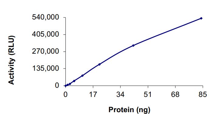 Recombinant human EGFR (mutated L747S) protein (Active)