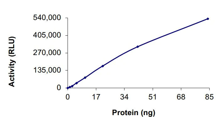 Functional Studies - Recombinant human EGFR (mutated L747S) protein (Active) (AB268496)
