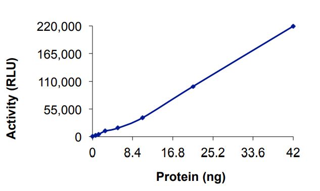 Recombinant human EGFR (mutated L792F + L858R) protein (Active)
