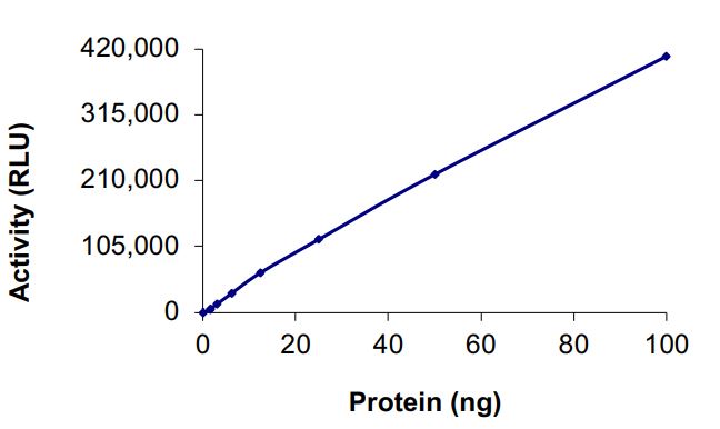 Recombinant human EGFR (mutated L792F) protein (Active)