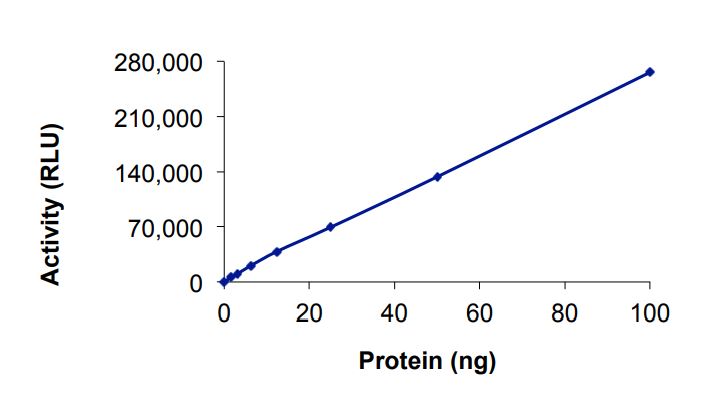 Functional Studies - Recombinant human EGFR (mutated L792H + C797S + L858R) protein (Active) (AB268500)