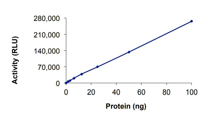 Functional Studies - Recombinant human EGFR (mutated L792H + C797S + L858R) protein (Active) (AB268500)