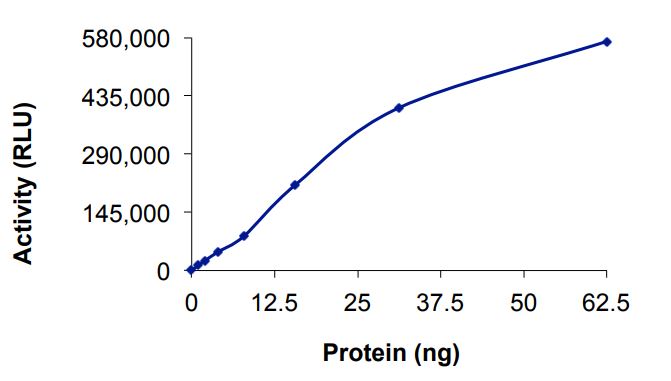 Recombinant human EGFR (mutated L792H) protein (Active)