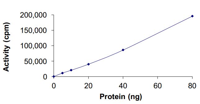 Recombinant human EGFR (mutated L858R) protein (Active)