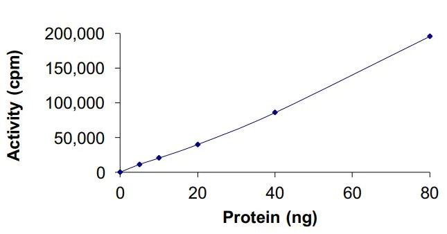 Functional Studies - Recombinant human EGFR (mutated L858R) protein (Active) (AB268502)