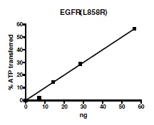 Functional Studies - Recombinant human EGFR (mutated L858R) protein (Active) (GST N-Terminus + 6x His tag C-Terminus) (AB271492)